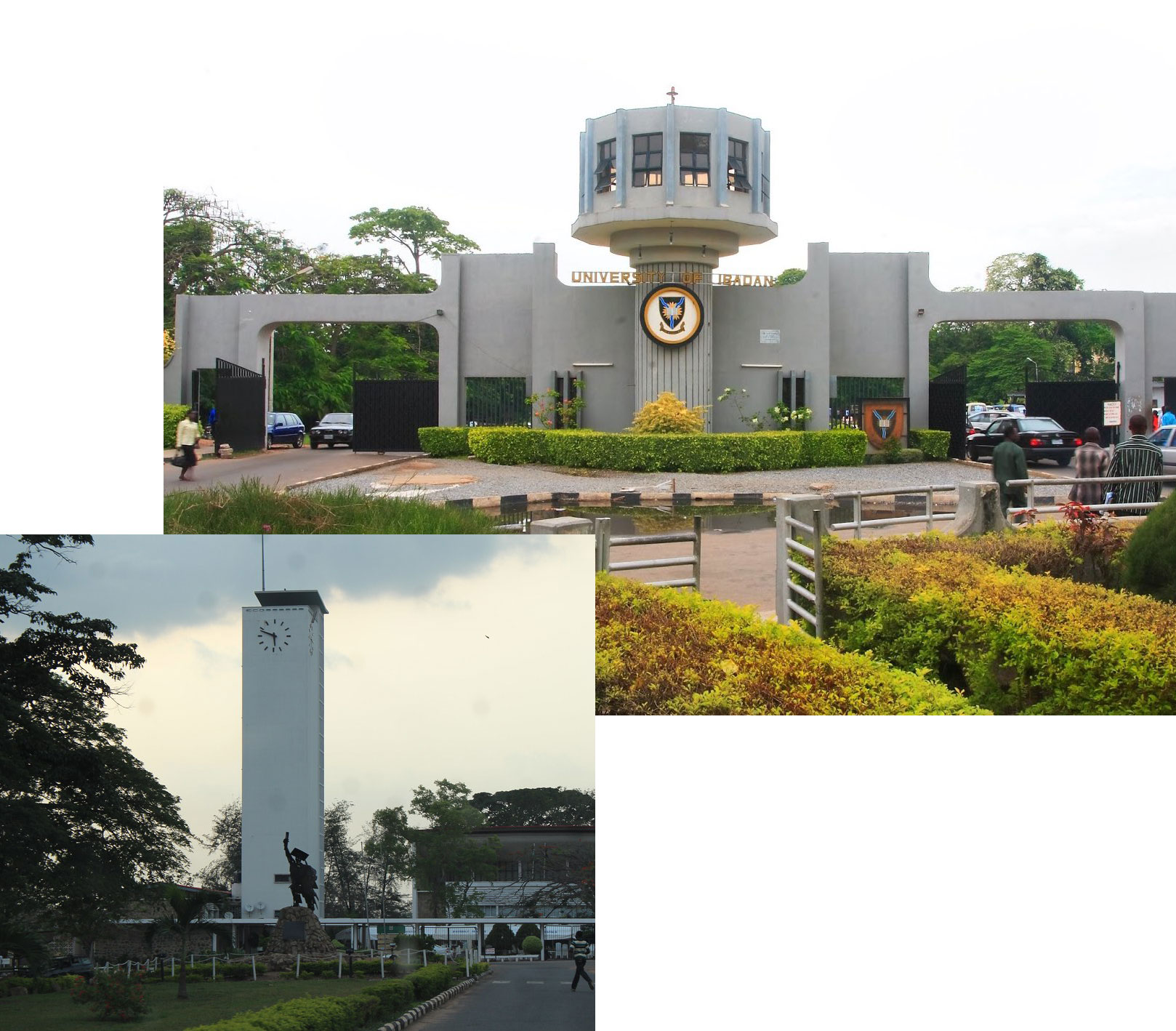 University of Ibadan logo